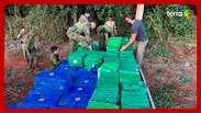 Polícia Federal encontra 8,5 toneladas de maconha escondidas em matagal no Paraná
