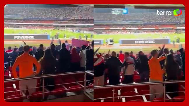 Placa de metal despenca em estádio e atinge torcedor durante jogo da Libertadores em SP